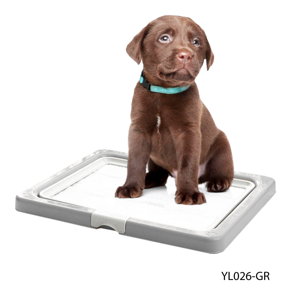 Kanimal Dog Toilet ถาดฝึกฉี่สุนัข ถาดรองซับ ห้องน้ำสุนัข รุ่น Classic สำหรับสุนัขพันธุ์เล็ก Size M ขนาด 55x45x3.7 ซม. (สีีเทา/ขาว)