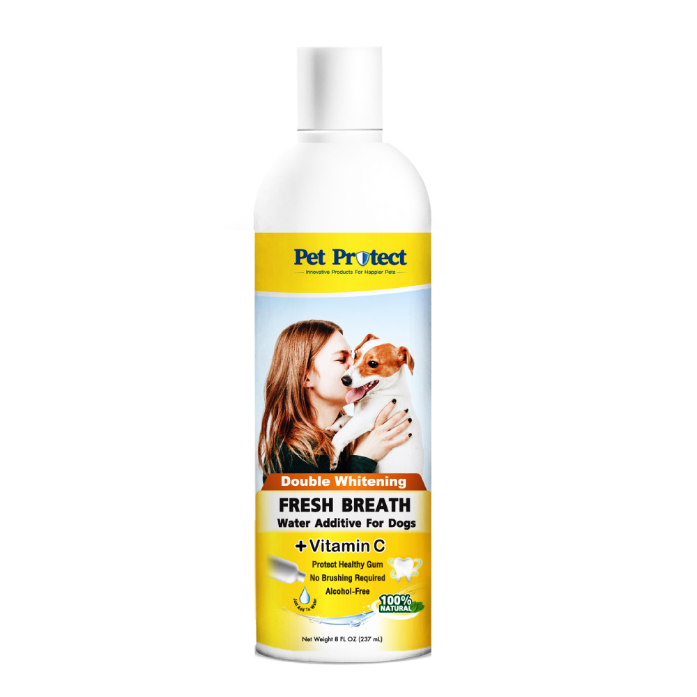 Pet Protect Double Whitening น้ำยาดับกลิ่นปากสุนัข ใช้ผสมน้ำดื่ม สูตรฟันขาวขึ้น 2 เท่า (ผสม Vitamin-C) สำหรับสุนัขทุกสายพันธุ์ (237 มล./ขวด)