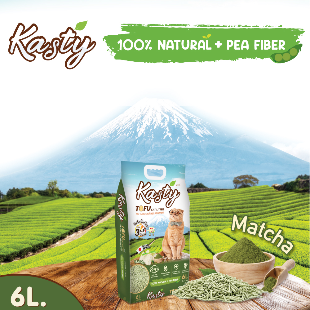 Kasty Matcha 6L.